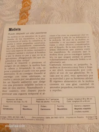 Safari,conocer y amar los animales