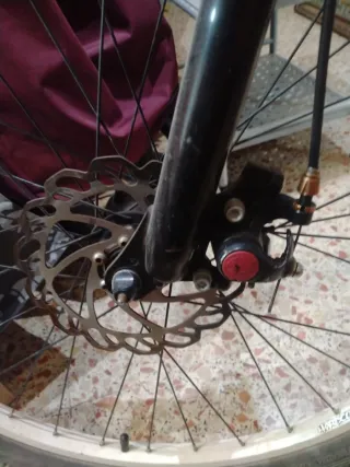 Bicicleta Montaña Edición Limitada 6