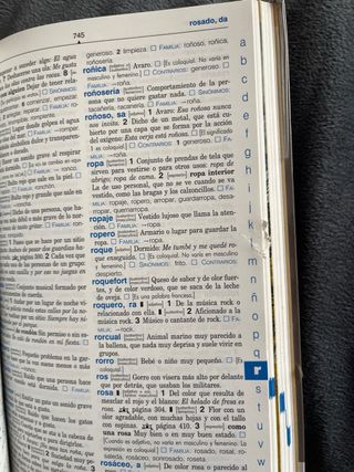 Diccionario Primaria. Nivel Básico (Spanish Edi...