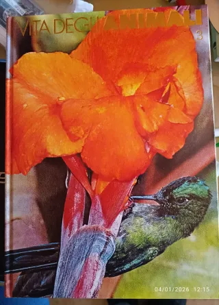 Vita degli animali