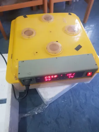 Incubadora huevos automática de 56 huevos