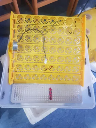 Incubadora huevos automática de 56 huevos