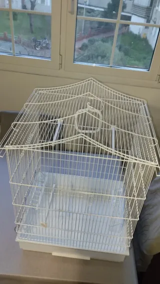 Jaula cotorra o agapornis casi nueva