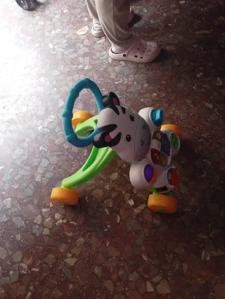 Correpasillos Cebra con actividades