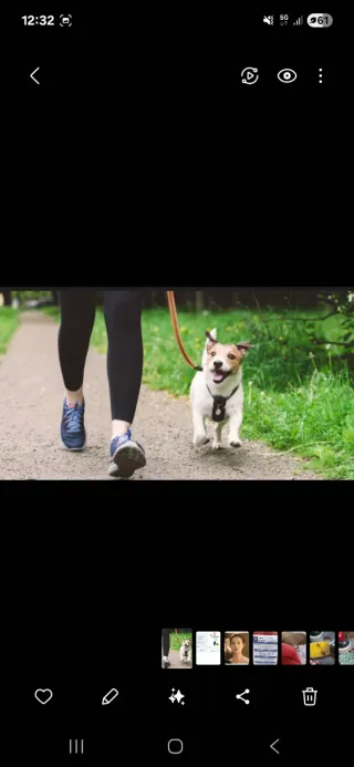 Amor por las mascotas