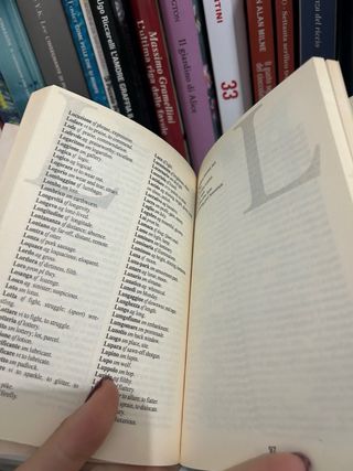 Dizionario Italiano Inglese 2006