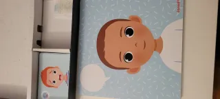 Juego magnético de emociones Janod