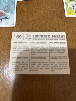 Lote 57 Cromos Vintage Figurine Panini Animales