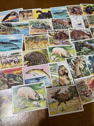 Lote 57 Cromos Vintage Figurine Panini Animales