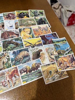 Lote 57 Cromos Vintage Figurine Panini Animales