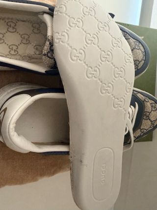 Zapatillas Gucci Beige y Azul