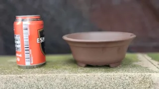 Maceta Bonsái Yixing 16'5 x 16'5 x 6'5 Exterior