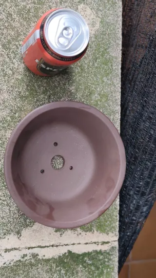 Maceta Bonsái Yixing 16'5 x 16'5 x 6'5 Exterior