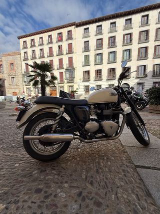 Triumph Bonneville T100 blanca.