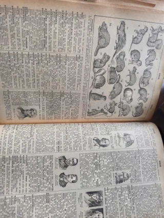 Enciclopedia Sopena 1926