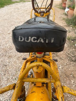 Ducati mini 2