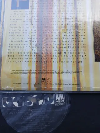 Vinilo LP Sting Ten Summoner's Tales