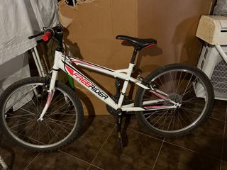 Bicicleta Montaña Infantil Freerider 24