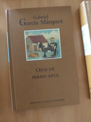 biblioteca García marquez