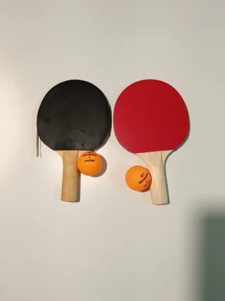 Set Ping Pong Artengo Rollnet Small