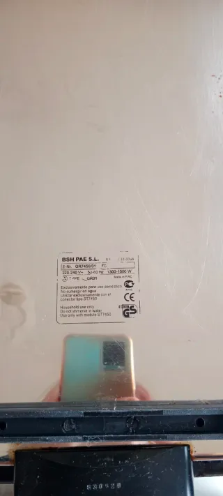 Plancha de asar eléctrica