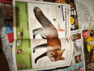 Lote 25 Revistas Reporter Doc (Català) Bayard