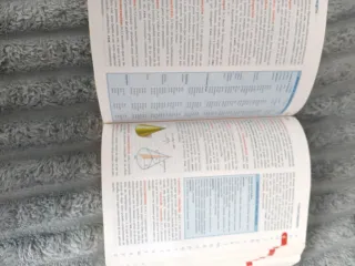 Diccionario Junior (Spanish Edition)