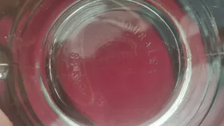 Set 4 Tazas de café Duralex Vidrio