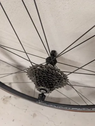 Ruedas Campagnolo Scirocco