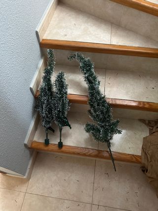 Mini alberi di Natale
