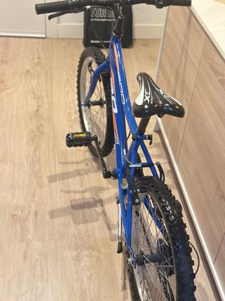 Bicicleta Infantil 20 Pulgadas Azul