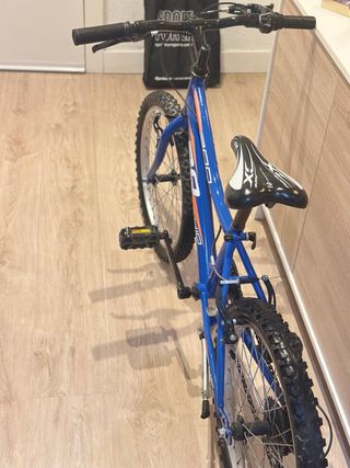 Bicicleta Infantil 20 Pulgadas Azul