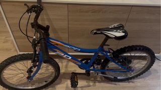 Bicicleta Infantil 20 Pulgadas Azul