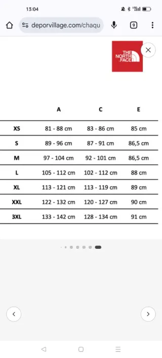 Chaqueta North Face Bomber McMurdo Gore Tex