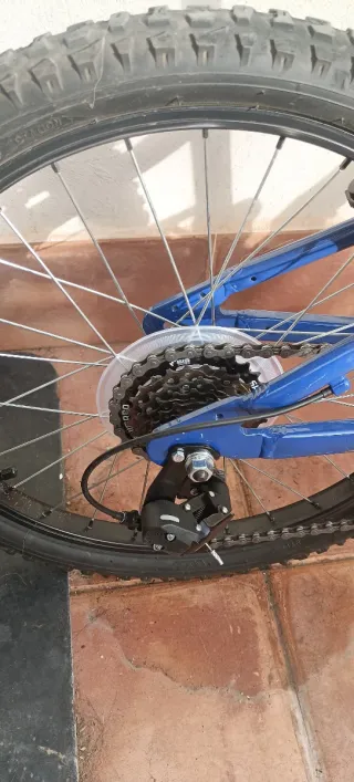 Bicicleta Infantil Rodado 20