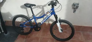 Bicicleta Infantil Rodado 20