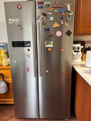 Nevera americana plateada