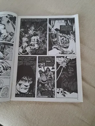 Cómic de Conan el bárbaro