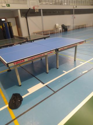 Mesas de ping pong