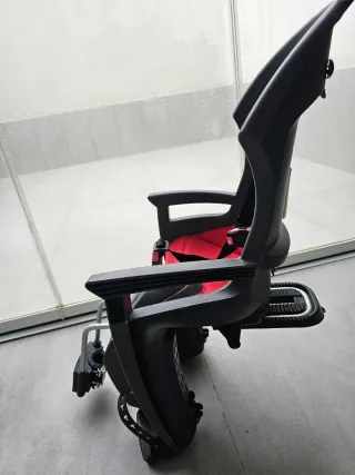 Hamax Smiley Silla Portabebés Bicicleta