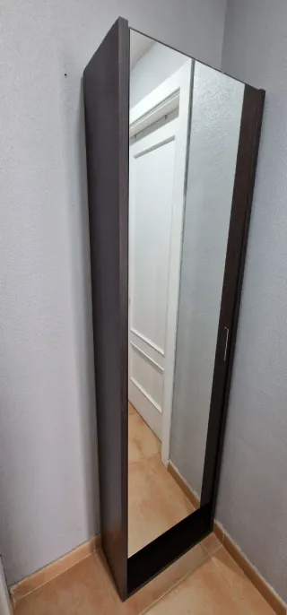Zapatero con espejo y puerta