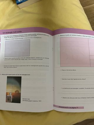 Avaluem competències bàsiques. 6 Primària