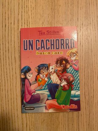 Un cachorro busca casa