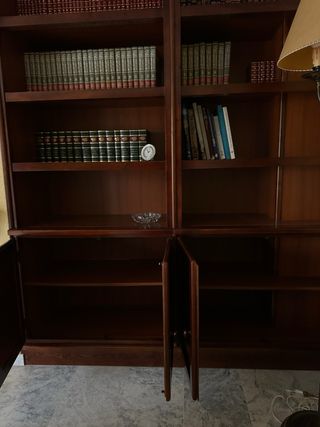 Estantería de madera con puertas