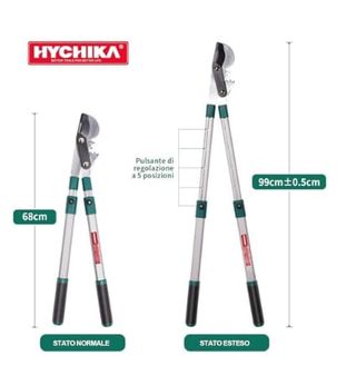 Troncarami telescopico allungabile