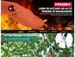 Troncarami telescopico allungabile