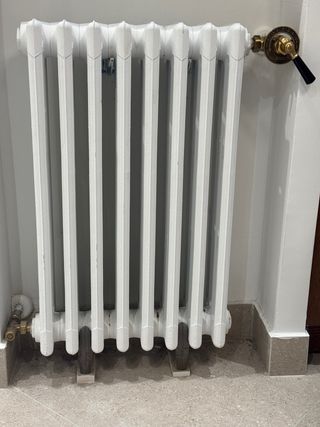 Radiador de hierro fundido