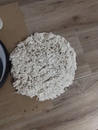 Pulidora abrillantadora doméstica Electro Lux