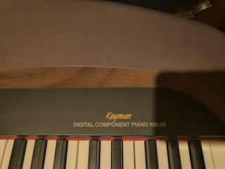 Pianoforte Elettrico SUZUKI