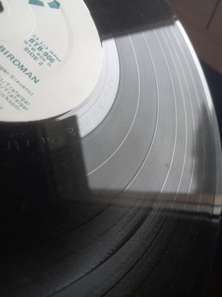 Radio Birdman - Radios Appear Vinilo LP